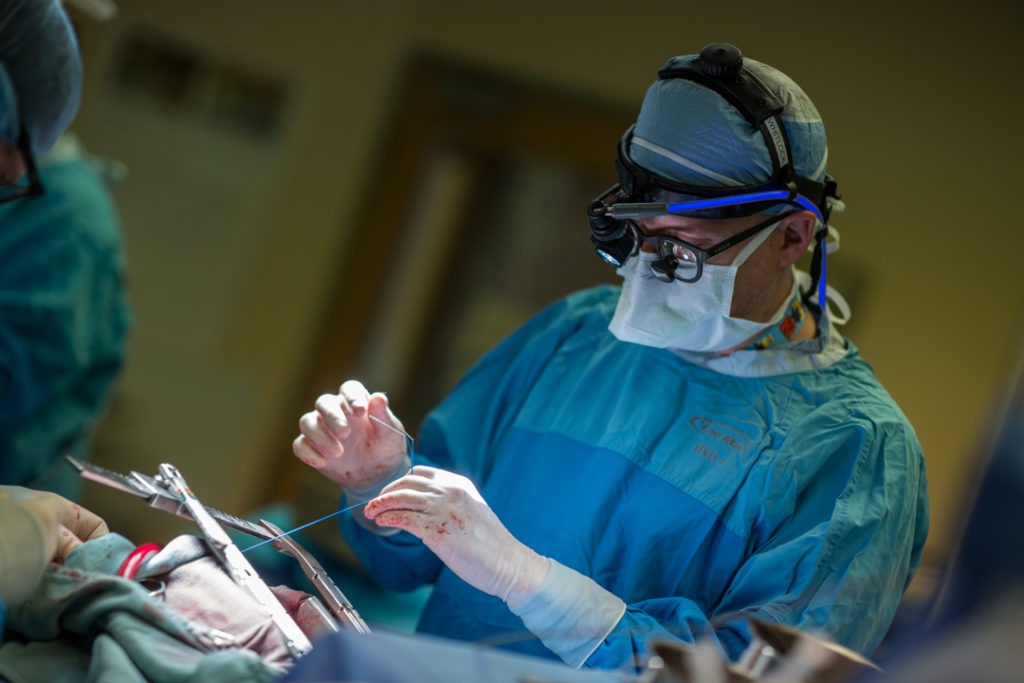 Dr. Whitlock inserts electrical wires to help pace the patient’s heart as it recovers from surgery. The wires will stay in the patient’s chest for three days.