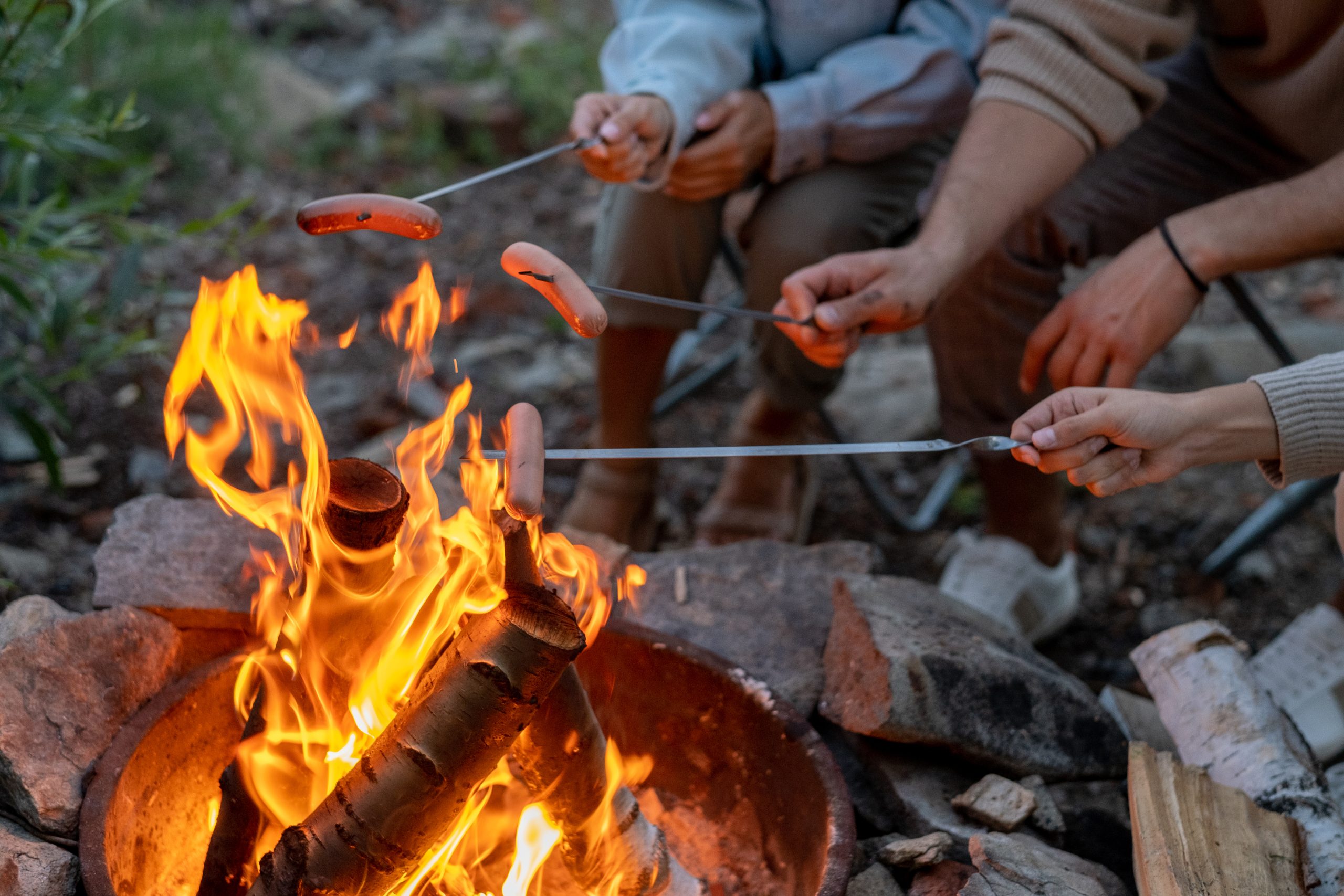 cooking hot dogs over a campfire