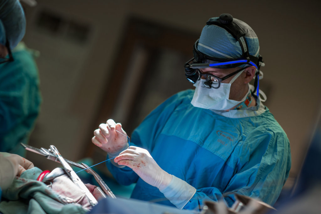Surgeon performing open heart surgery
