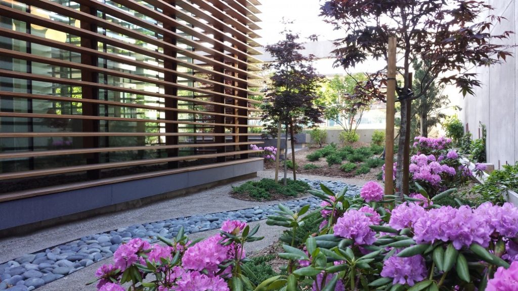 The courtyard of the CIBC Breast Assessment Centre featuring wooden slats over the windows and flowers in the foreground