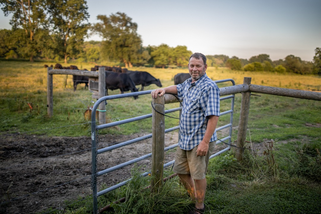 same-day joint replacement patient, David Harbottle on his cow farm