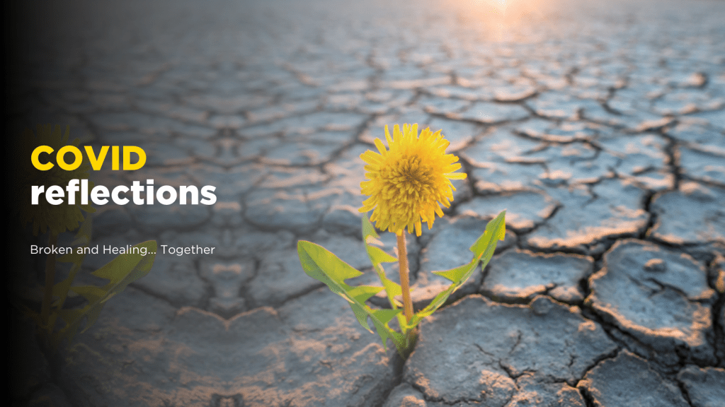 A dandelion flower breaks through a barren patch of cracked ground. Text reads "COVID reflections - Broken and Healing together."