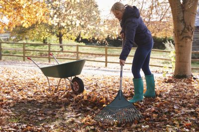 Mature woman raking leaves in a garden