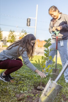 Two hospital staff members plant a tree