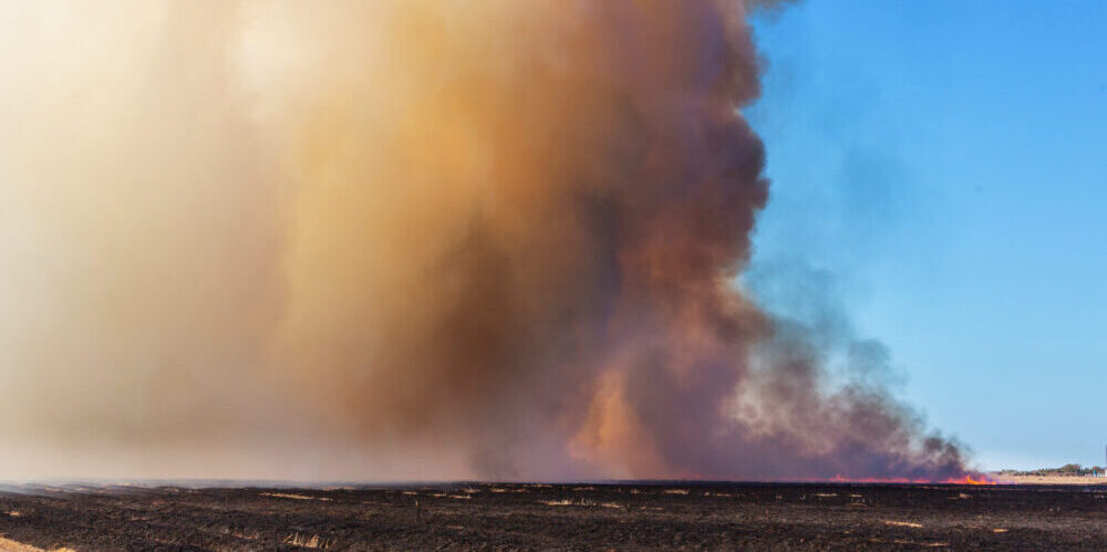 Wildfire smoke billows from the ground.