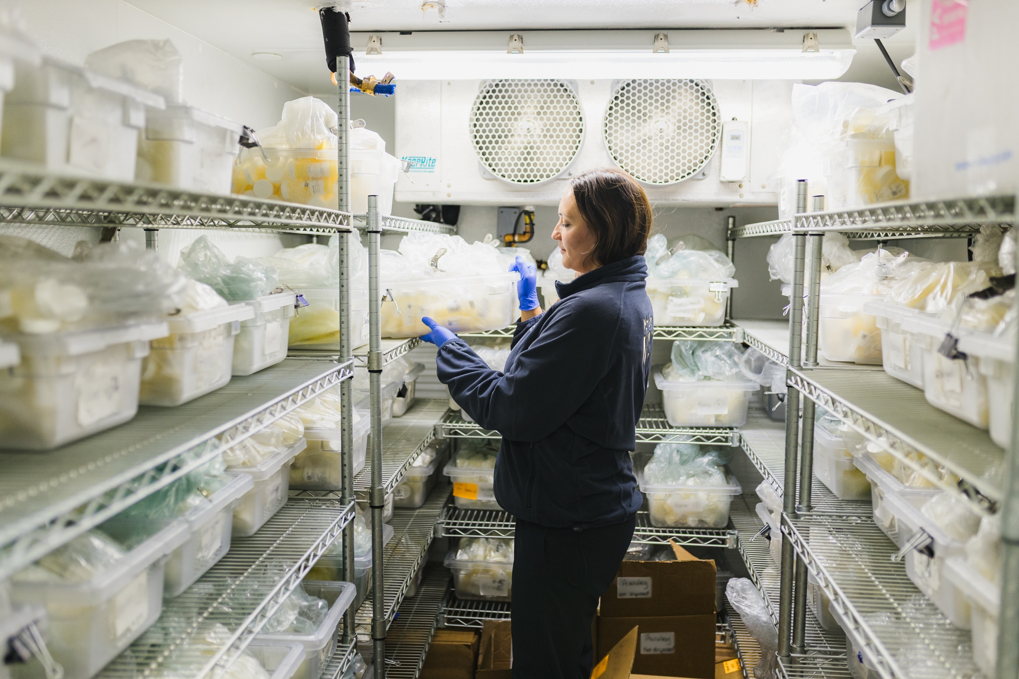 MCH’s MOM program brings high-tech precision to human milk for NICU babies - Hamilton Health Sciences